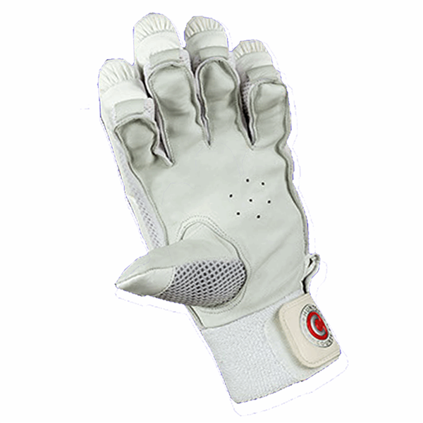 Cricket Batting Gloves Insignia Adults Size_3