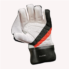 Cricket Wicket Keeping Gloves Maximo Adult/Junior_3
