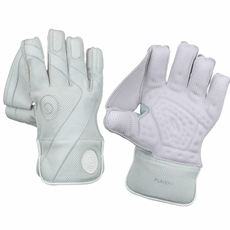 Cricket Player Grade Wicket Keeping Gloves Ad