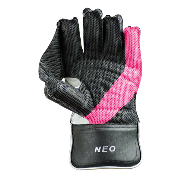 Cricket Wicket Keeping Gloves Neo_2