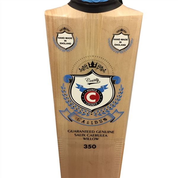 Cricket Bat Calidus 350 FREE Anti Scuff_6