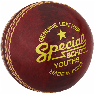 Cricket Ball Special School - Juniors