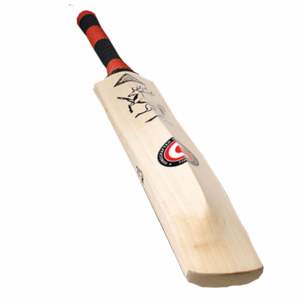 Cricket Bat Insignia -3 Model Selection Adult Size_3