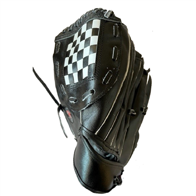 Ball Catching Mitt