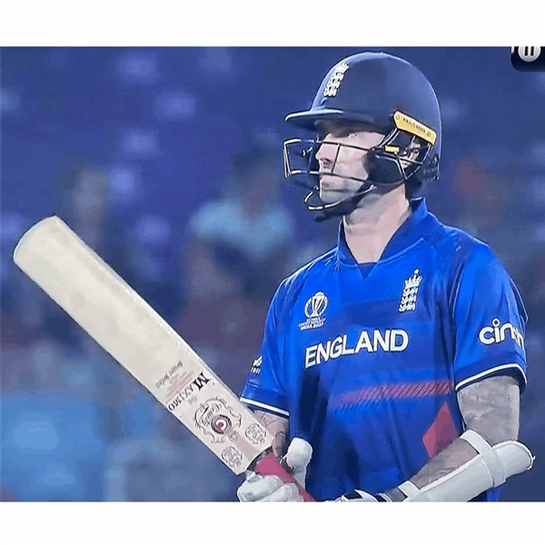 Cricket Bat Maximo Special - Adult FREE P&P_2