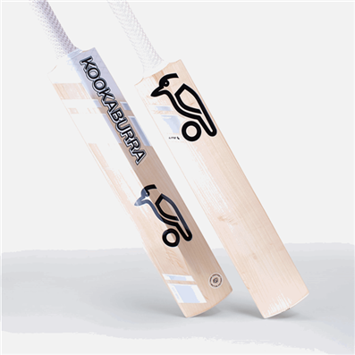 Cricket Bat Ghost Lite Adult 