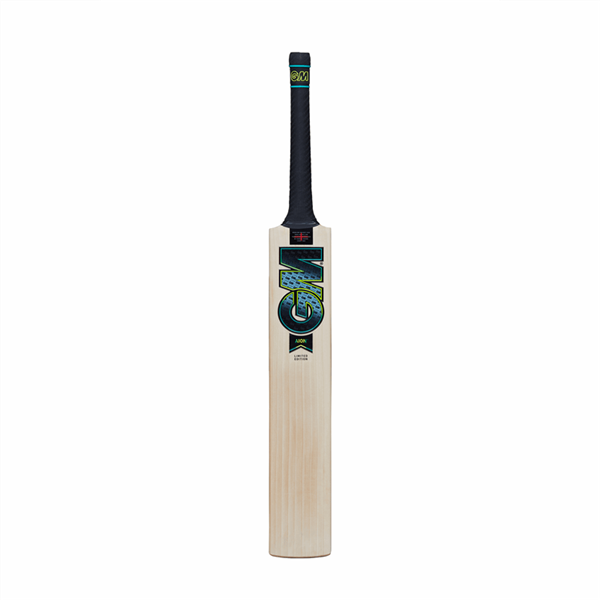 Cricket Bat Aion Signature Adult Short Handle_4