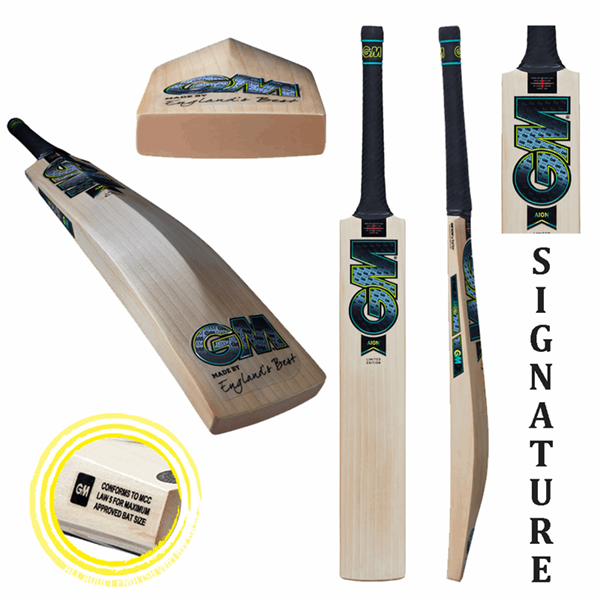 Cricket Bat Aion Signature Adult Short Handle