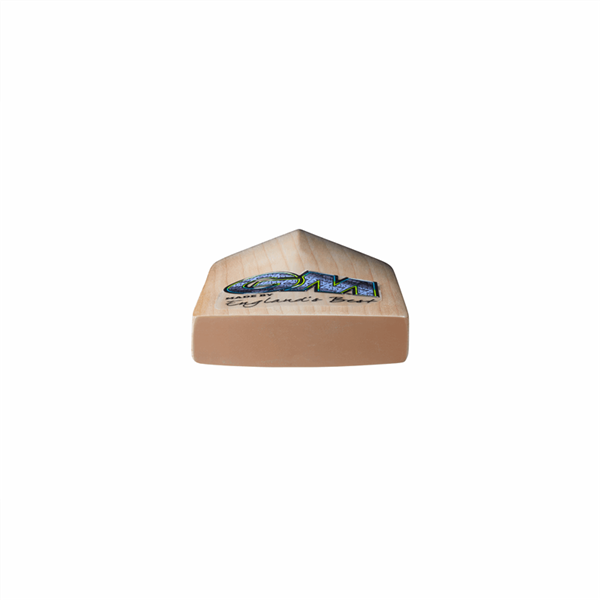 Cricket Bat Aion  404 Adult Short Handle_2