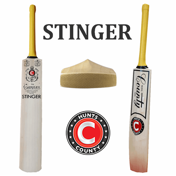 Cricket Bat Caerulex STINGER Junior FREE Antiscuff_1