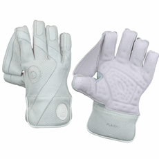 Cricket Player Grade Wicket Keeping Gloves Ad_1