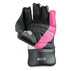 Cricket Wicket Keeping Gloves Neo_2