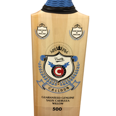 Cricket Bat Calidus 500 FREE Anti Scuff_2
