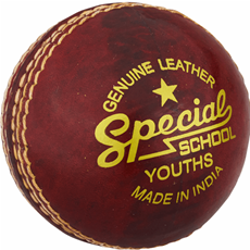 Cricket Ball Special School - Juniors_1