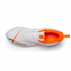 Cricket Shoes V Spikes - Adult Size REDUCED PRICE_2
