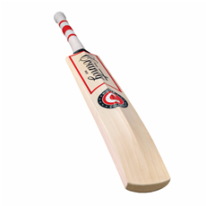 Cricket Bat Maximo Special - Adult FREE P&P_6