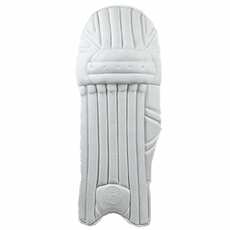 Cricket Batting Pads Player TOP Grade _2