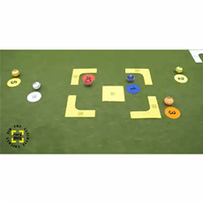 Crickbox Cricket Training Coaching Aid_3