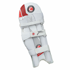 Cricket Batting Pads Insignia Adult Size_3