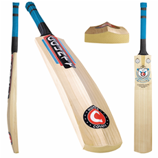Cricket Bat Calidus 350 FREE Anti Scuff_1