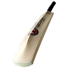Cricket Bat Caerulex Super Select Juniors FREE A/S_3