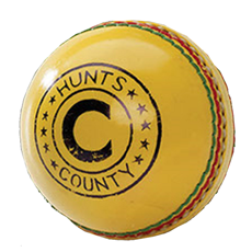 Cricket Ball Leather Indoor_1