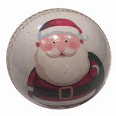Gift Cricket Ball for Christmas 