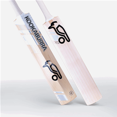 Cricket Bat Ghost 6.4 Adult Short Handle_2