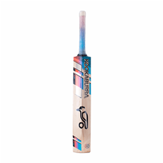 Cricket Bat Aura 4.1 Junior Size_5