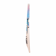 Cricket Bat Aura 4.1 Junior Size_2