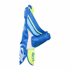 Cricket Wicket Keeping Gloves SC 4.1_2