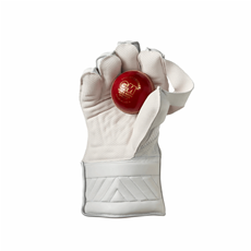 Wicket Keeping Gloves Original Adults_3