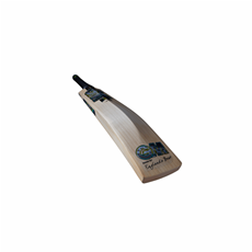 Cricket Bat Aion 606  Adult Short Handle_7