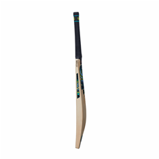 Cricket Bat Aion 606  Adult Short Handle_3