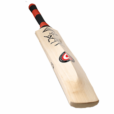 Cricket Bat Insignia Super Select Junior FREE A/S_3