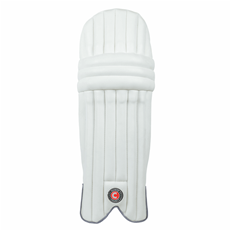 Cricket Batting Pads Envy - Ambi Junior Size_3