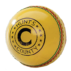 Cricket Ball Leather Indoor